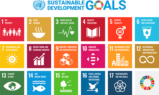17 UN’s Sustainable Development Goals.